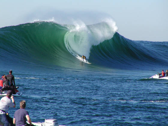 surf6.jpg